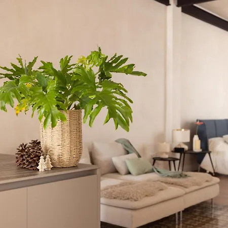 Eden Luxury Premier Penthouse * Santa-Cruz de Ténérife